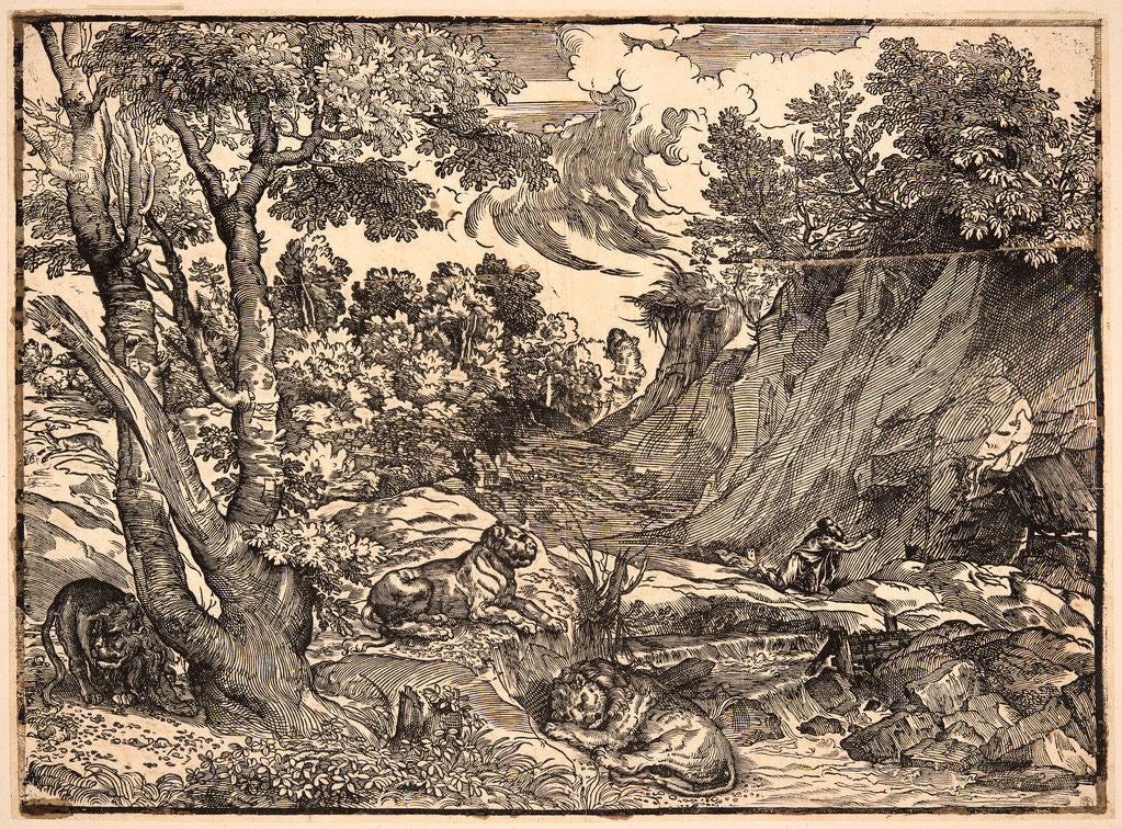 Detail of St. Jerome in the Wilderness, ca. 1525-1530 by Nicolò Boldrini