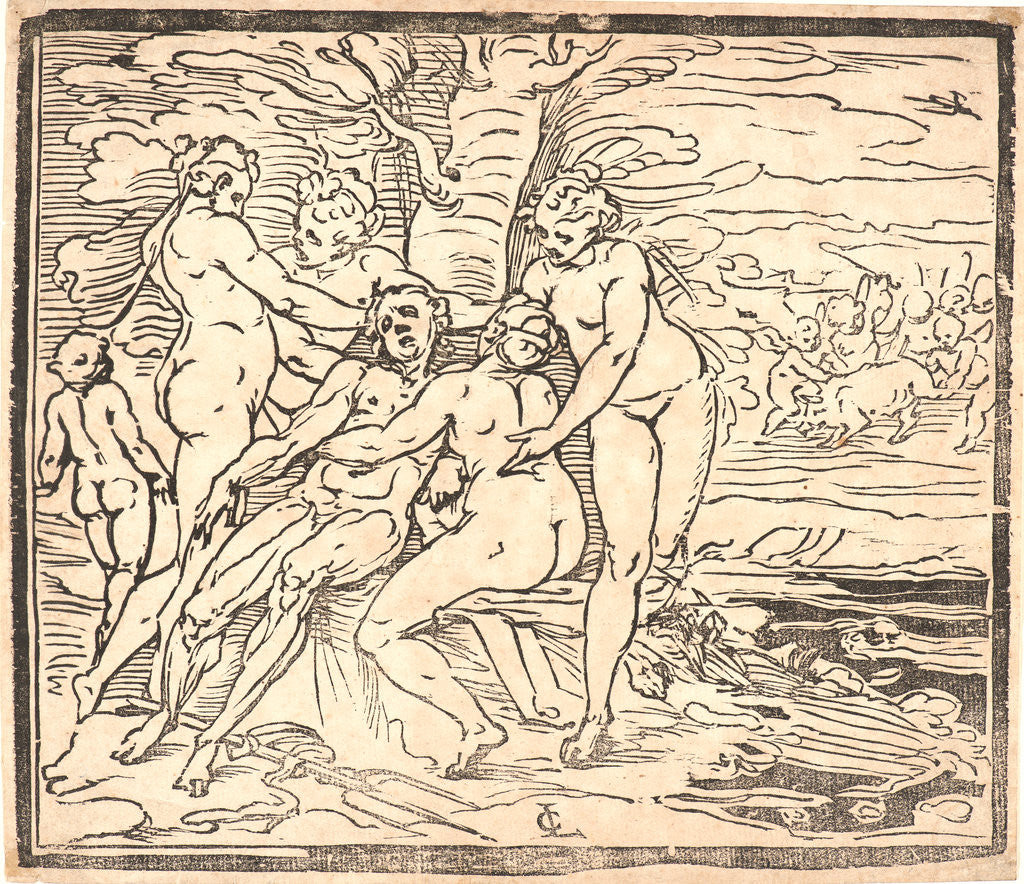 Detail of Venus Mourning the Death of Adonis, 16th century by Luca Cambiaso
