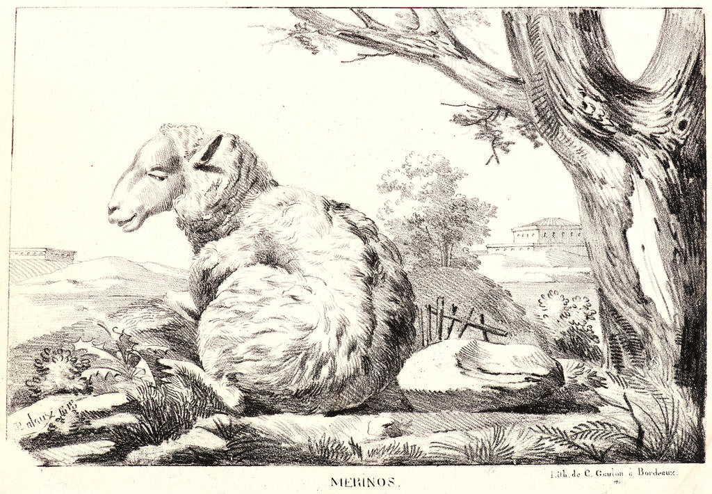 Detail of Merinos, 1818 by Jean-Paul Alaux