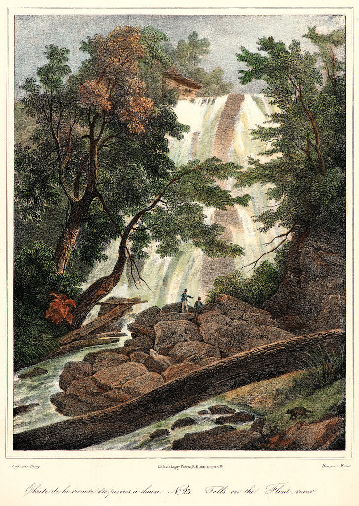 Detail of Falls on the Flint River, ca. 1827-1828 by Louis-Pierre-Alphonse Bichebois