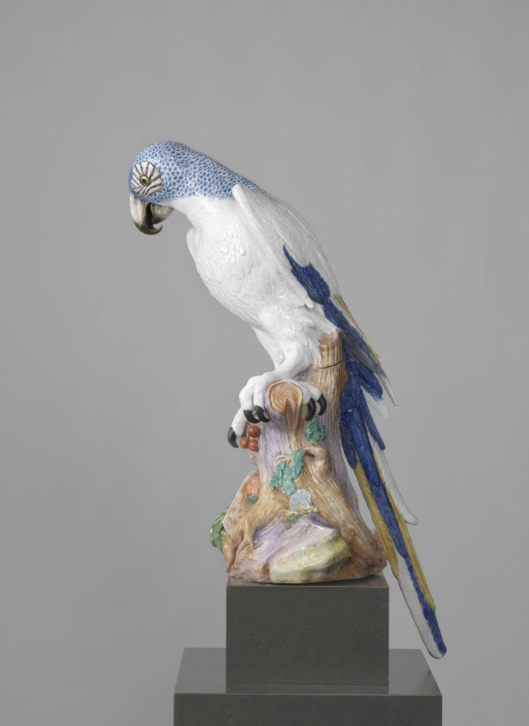 Detail of Blue Macaw by Johann Joachim Kändler