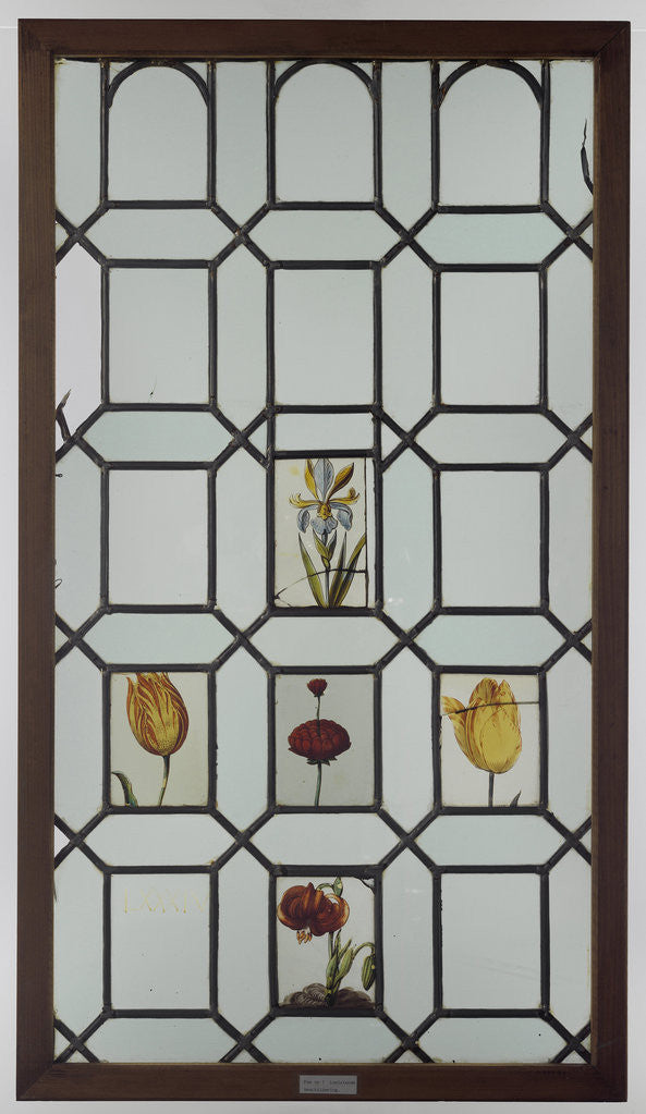 Detail of Pane with five flowers, including two tulips by Anonymous