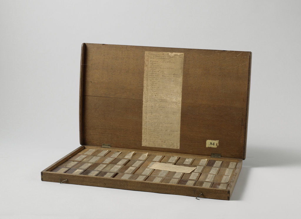 Detail of Box with forty-four wood samples from Suriname by Anonymous