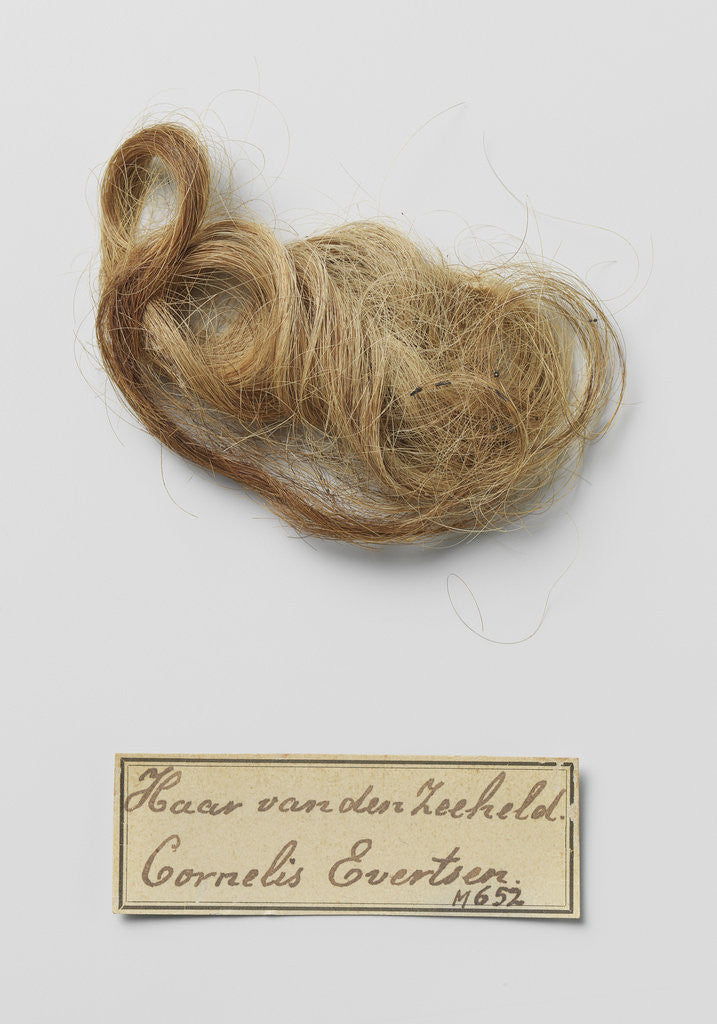 Detail of Hair found in the tomb of Cornelis Evertsen by Francisco Enriquez