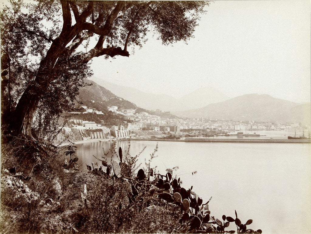 Detail of View of Salerno Italy and its harbor by Fratelli Alinari