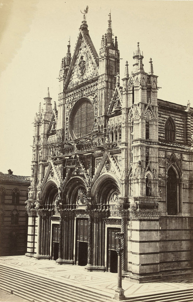 Detail of Cathedral of Siena, Italy by Anonymous