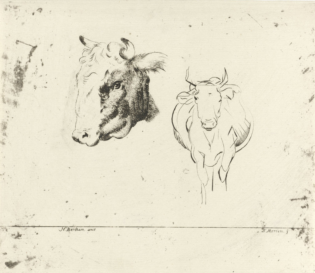 Detail of Study Sheet with a cow and a cow seen from the front by D. Merrem