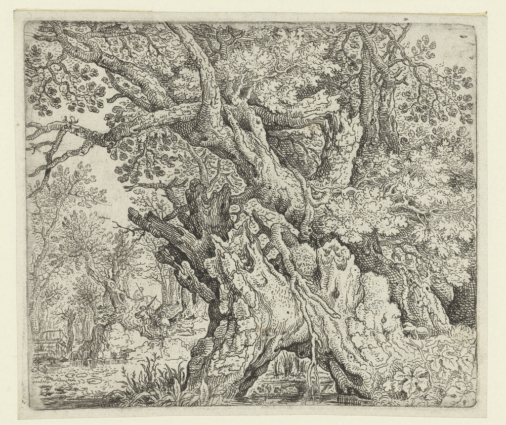 Detail of Gnarled Trees near the Water by Roelant Savery