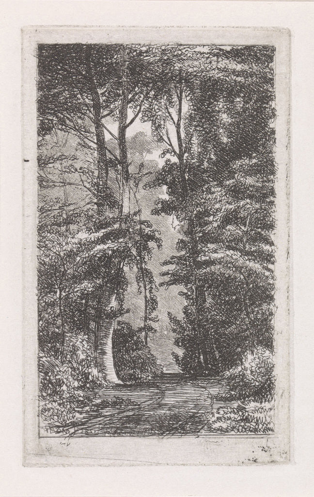 Detail of Forest avenue by Jacob Jan van der Maaten