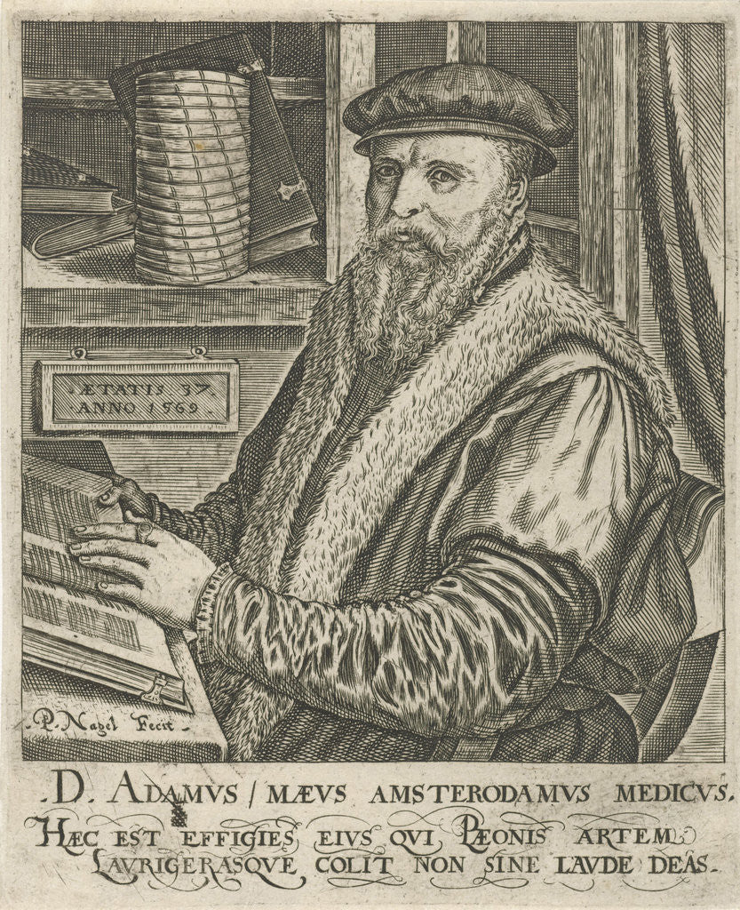 Detail of Portrait of Adam Maeus by Pieter Nagel