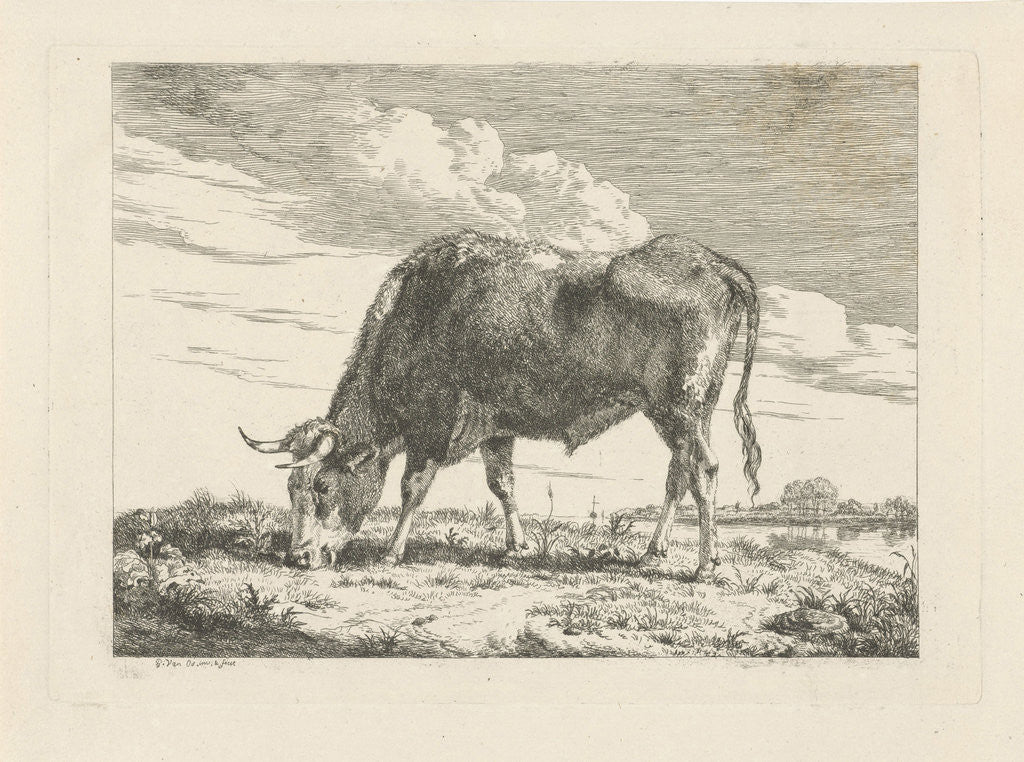 Detail of Grazing Cow by Pieter Gerardus van Os