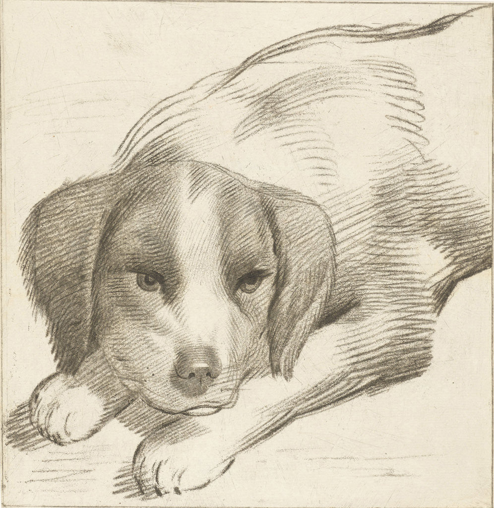 Detail of Dog, Cornelis van Noorde by Cornelis Visscher II