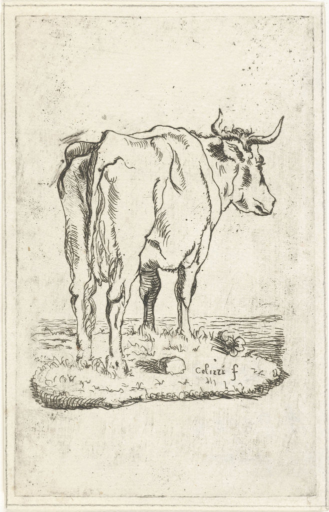 Detail of Standing cow by Johan Antoni Kauclitz Colizzi
