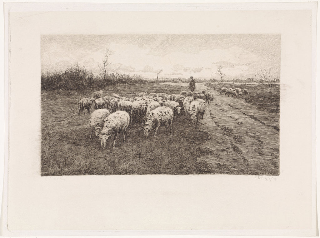 Detail of Shepherd with flock of sheep by Elias Stark