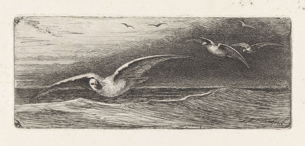 Detail of Seagulls by Jacobus Hermanus Otterbeek