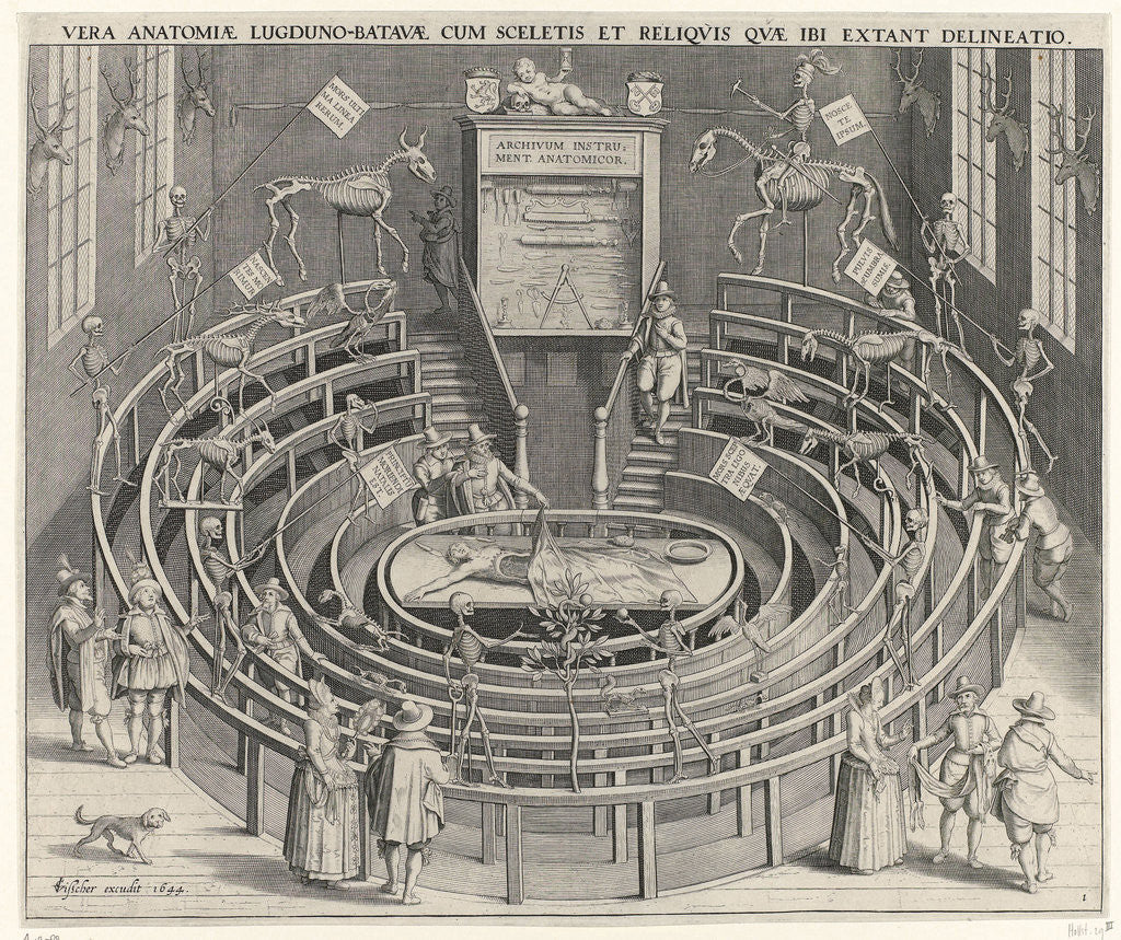 Detail of Anatomical theater of the University of Leiden by Willem I