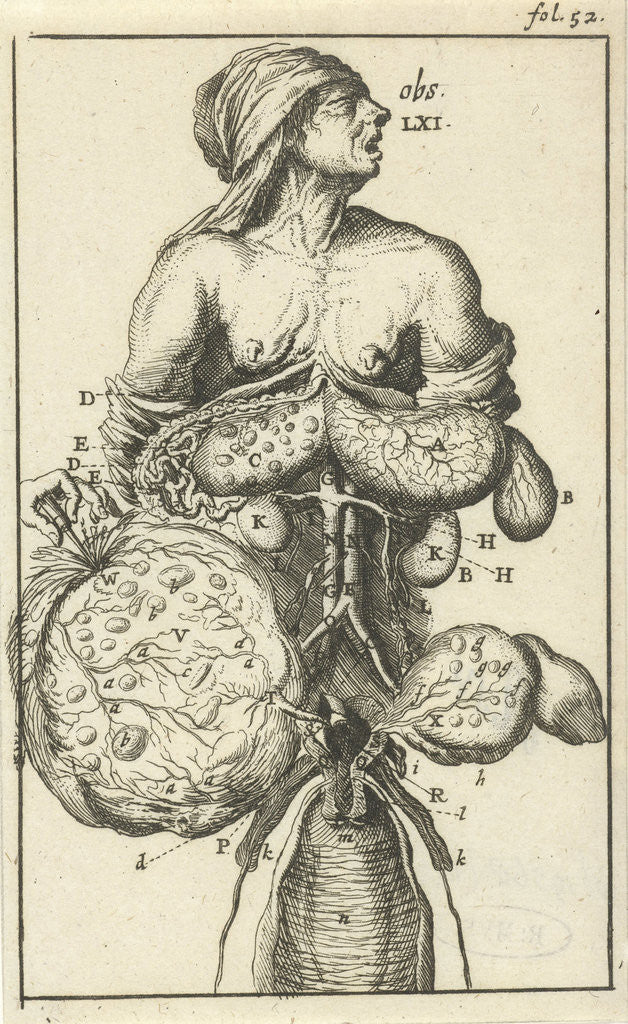 Detail of Anatomic image II by Jan Claesz ten Hoorn