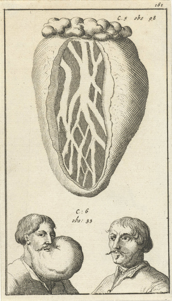Detail of Anatomic image XIV by Jan Claesz ten Hoorn