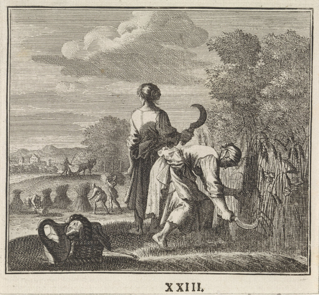 Detail of Emblem cornfield by Christoph Weigel