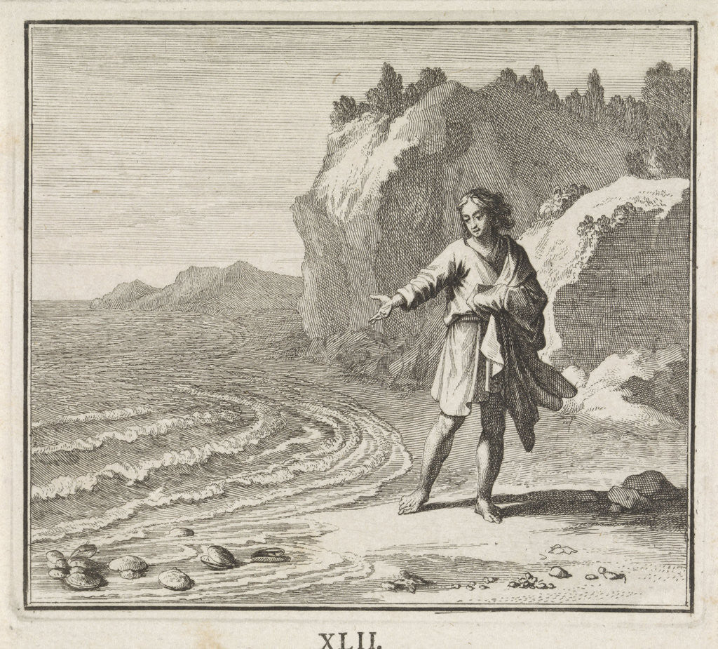 Detail of Emblem shells by Christoph Weigel