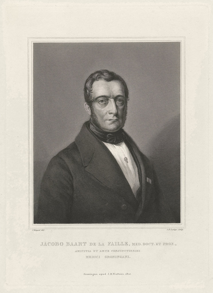 Detail of Portrait of Jacob Baart de la Faille by J.B. Wolters