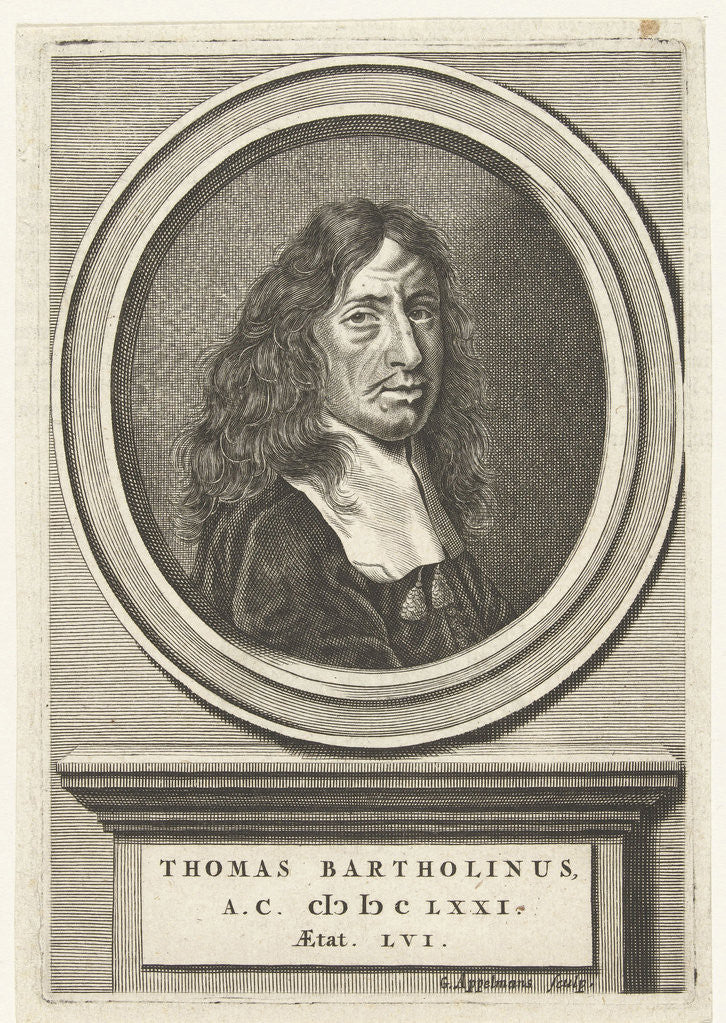 Detail of Portrait of Thomas Bartholinus at the age of 61 years by Henrich Dittmers