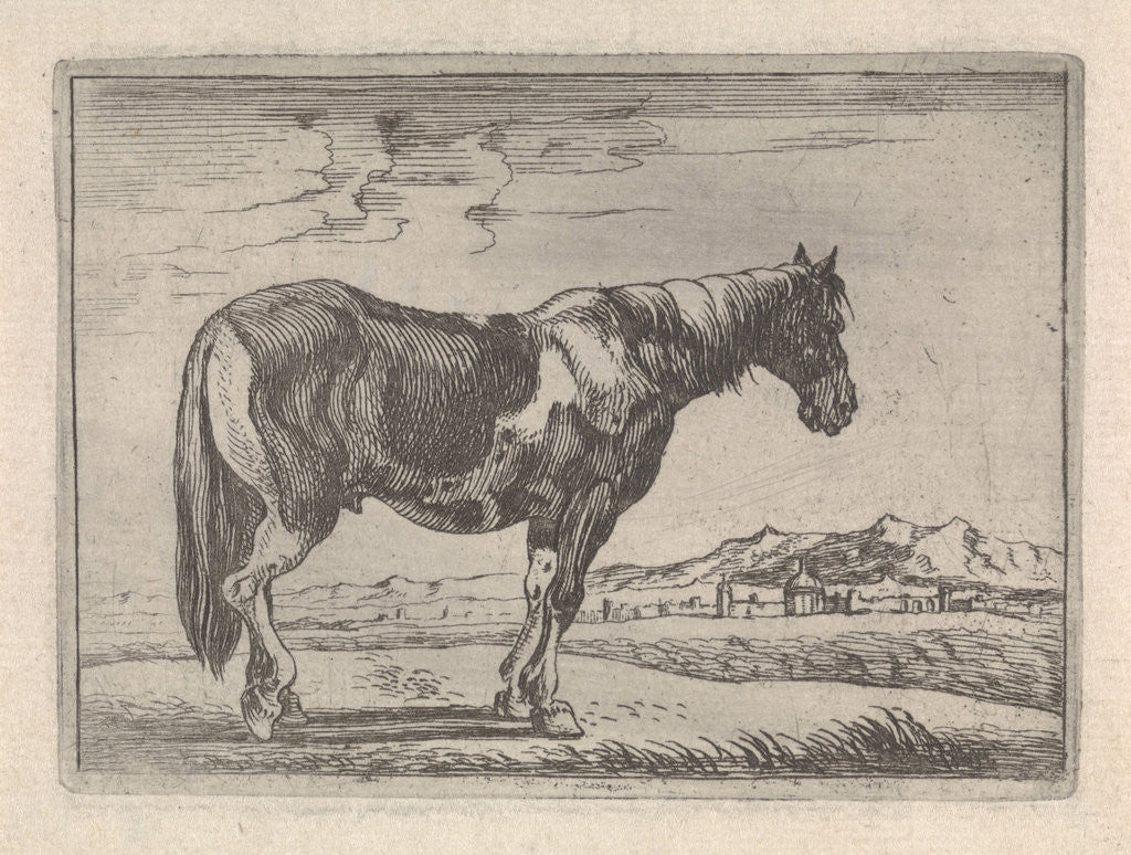Detail of Single horse by G. Quineau