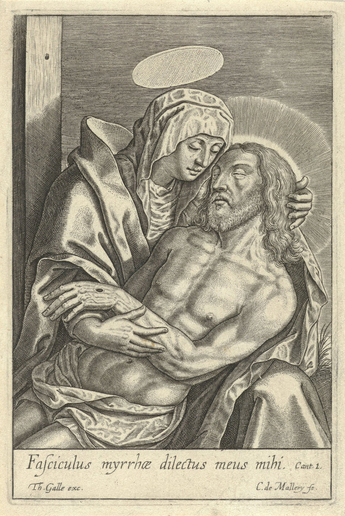 Detail of Pieta by Theodoor Galle