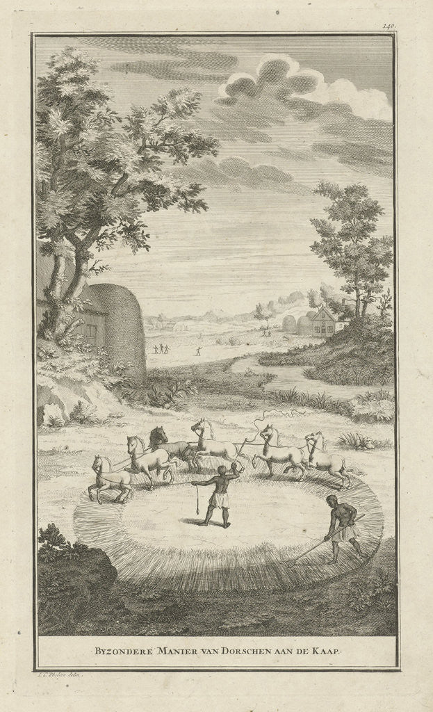 Detail of Hottentots threshing by Jan Caspar Philips