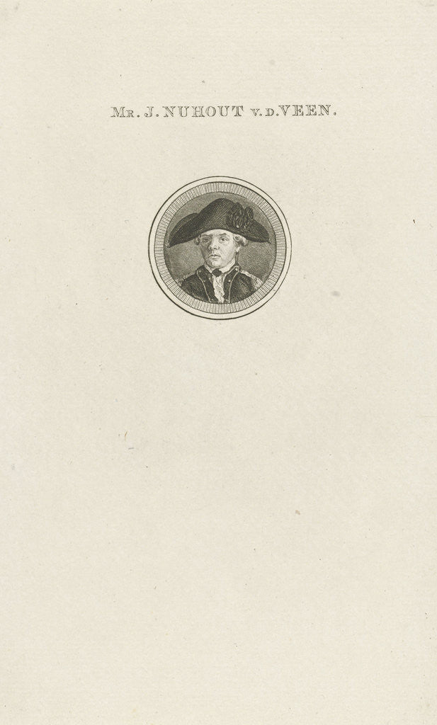 Detail of Portrait of Joachim Nuhout van der Veen by Jacobus Wijsman