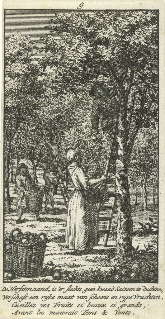 Detail of September men and women picking fruit in an orchard. by Jan Caspar Philips
