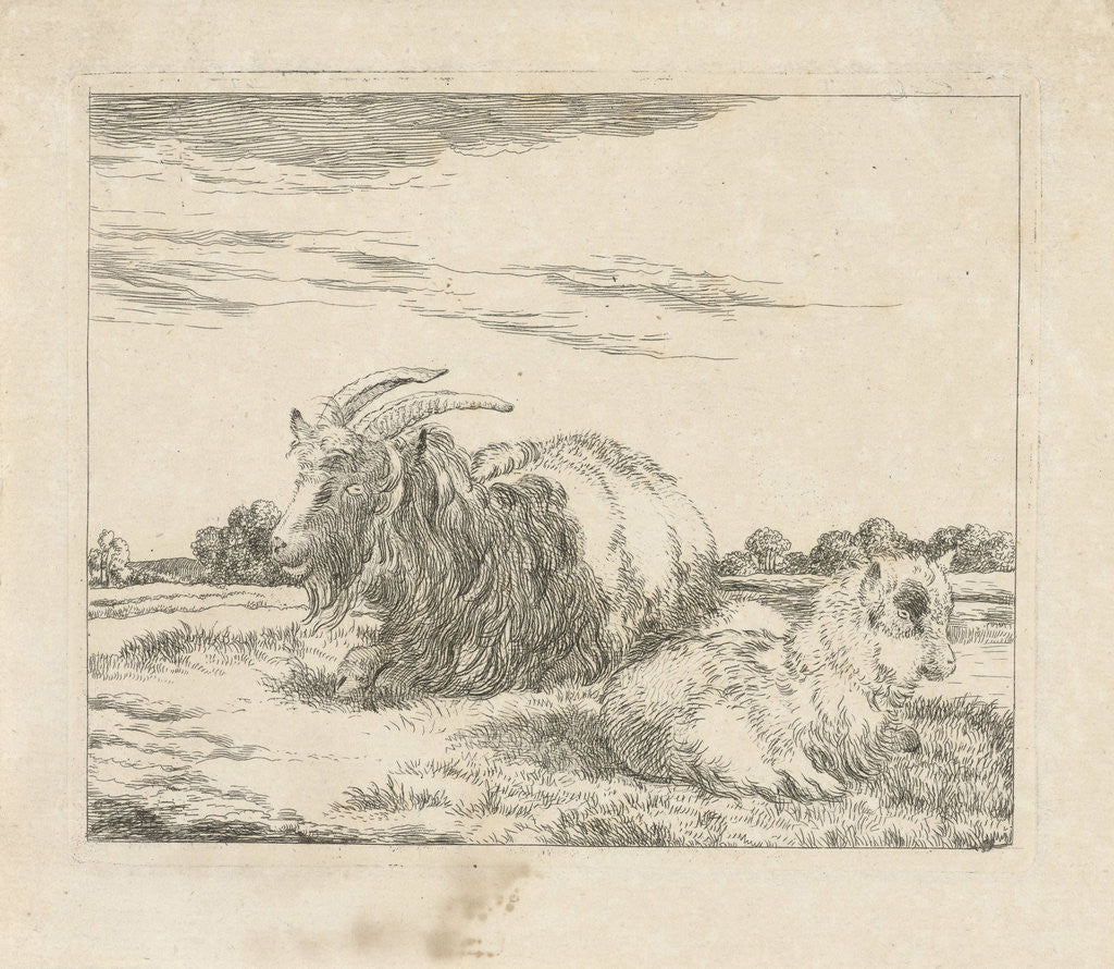 Detail of Reclining goat and kid by Pieter Gerardus van Os