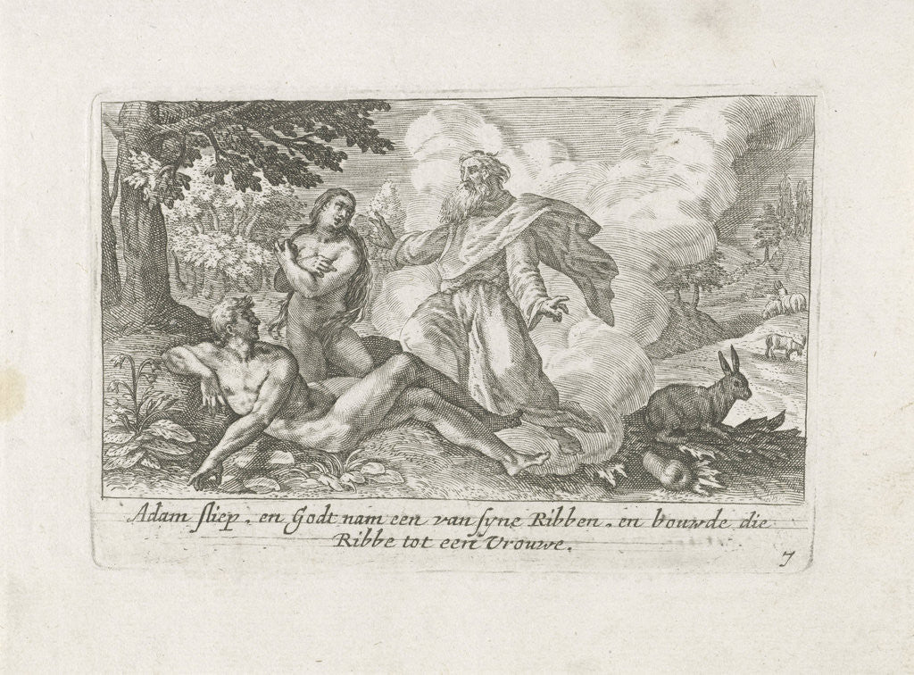 Detail of The Creation of Eve by Ysack Greve