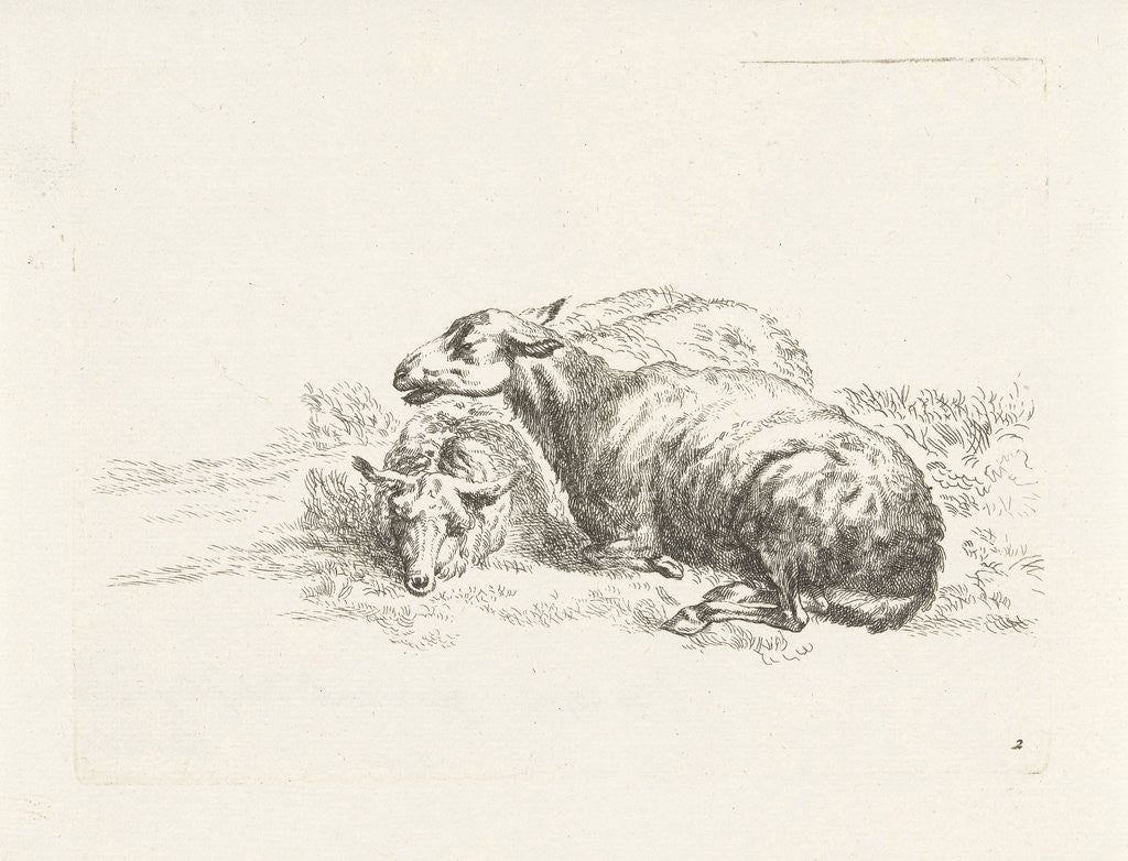 Detail of Two lying sheep by Gerard Valck