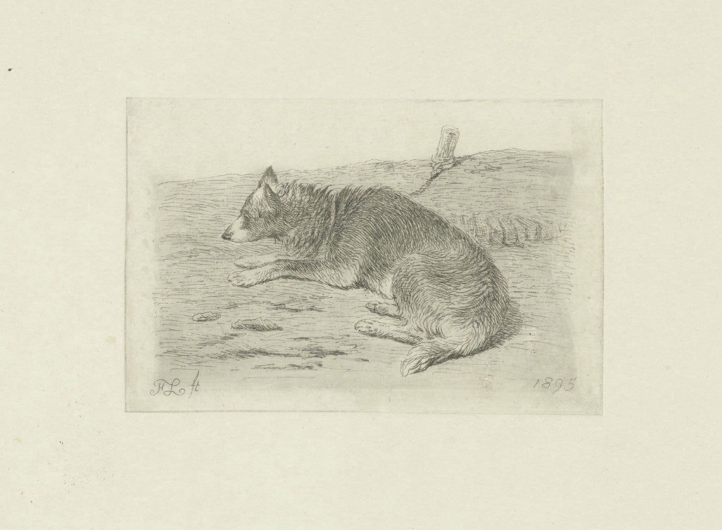 Detail of Lying dog from side by Frans Lebret
