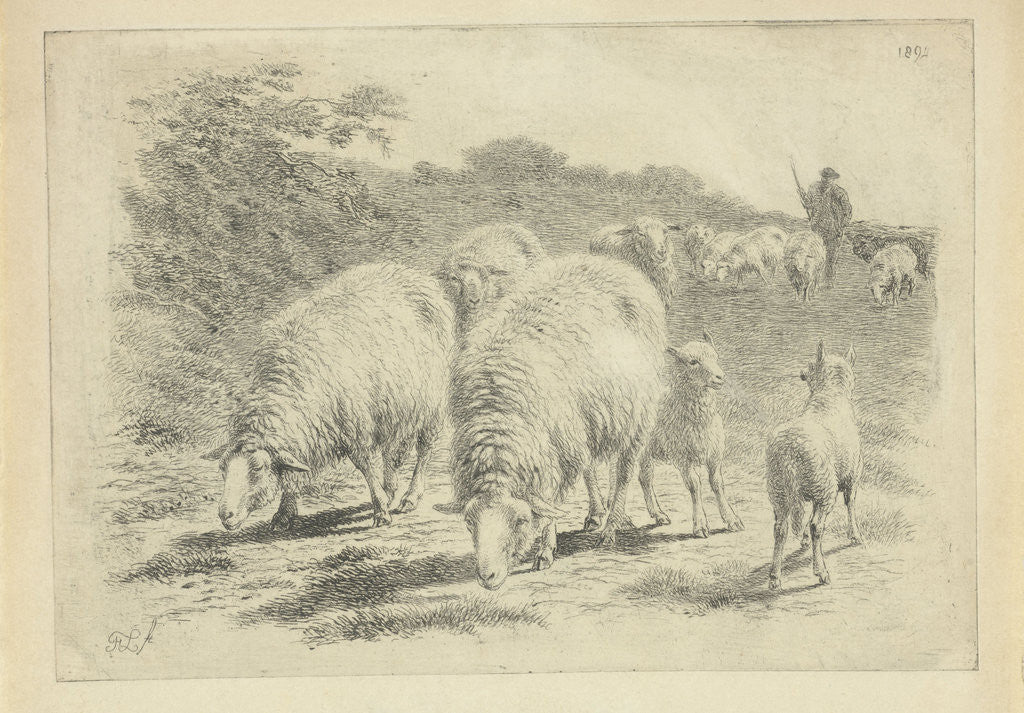 Detail of Sheep and lambs in the meadow by Frans Lebret