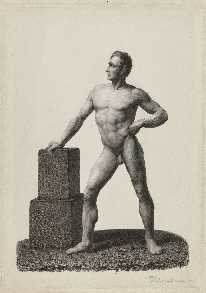 Detail of Academy Study standing naked man by Johannes Philippus Lange