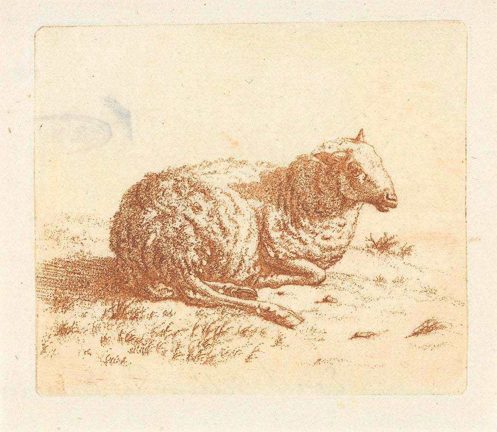 Detail of Lying Sheep by Ernst Willem Jan Bagelaar