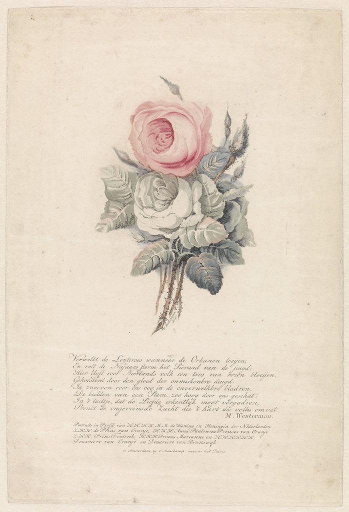 Detail of Roses by Marten Westerman