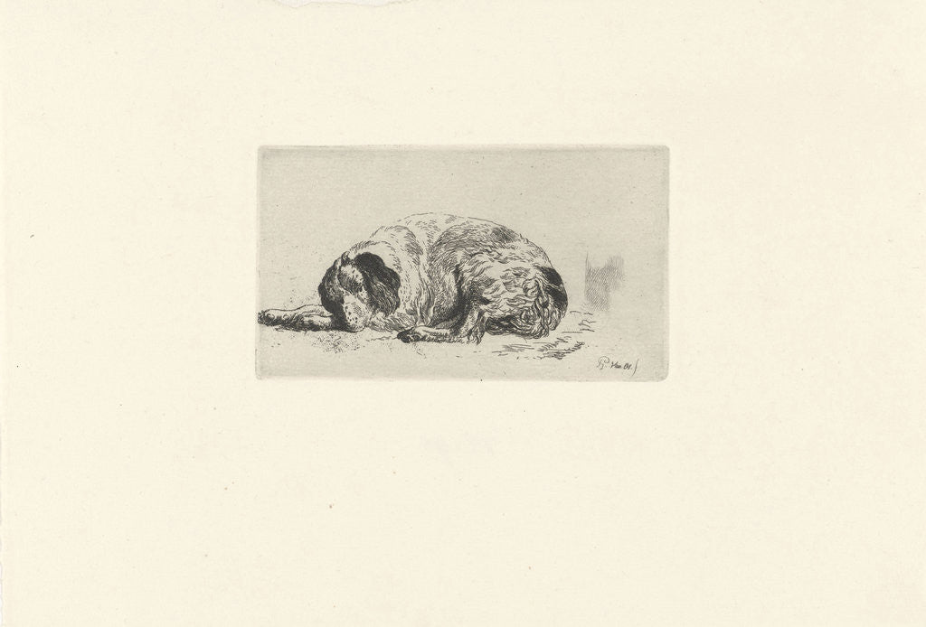 Detail of Reclining dog by Pieter Gerardus van Os