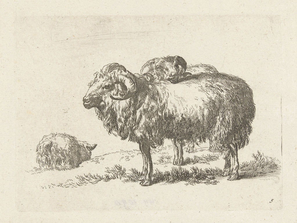 Detail of Two rams and a sheep by Anonymous