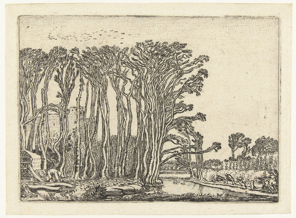 Detail of Landscape with bare trees at a water by Willem Pietersz. Buytewech