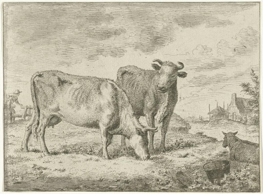 Detail of Two cows by Cornelis van Noorde