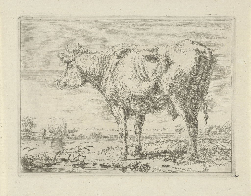 Detail of Standing cow by Anonymous