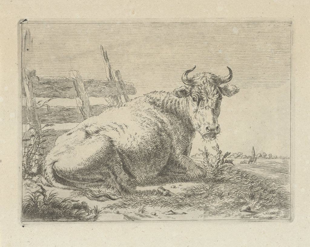 Detail of Lying cow at a fence by Anonymous