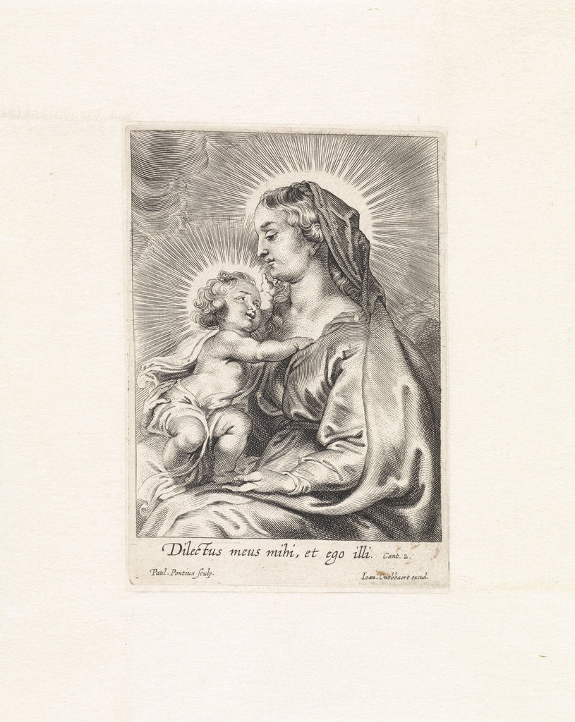 Detail of Virgin and Child by Jan Cnobbaert