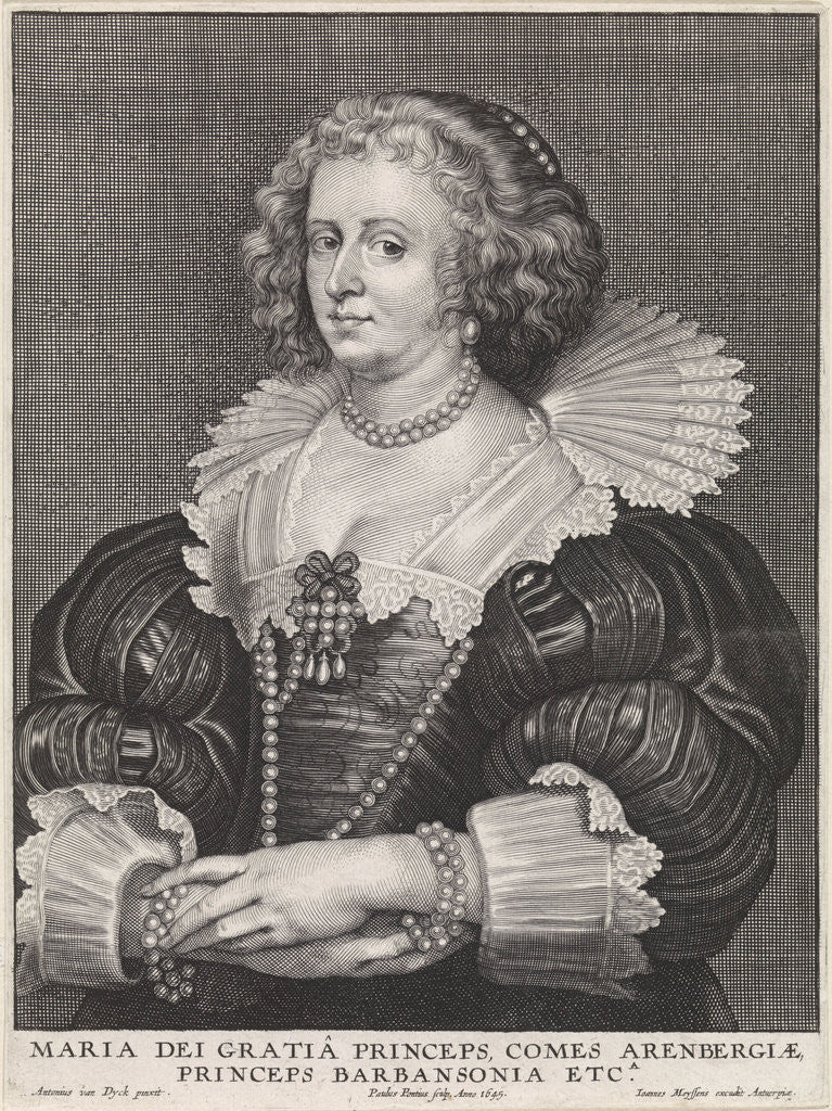 Detail of Portrait of Maria de Barbançon by Joannes Meyssens