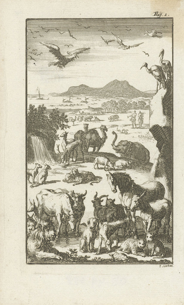 Detail of Creation by Cornelis van Hoogeveen Junior