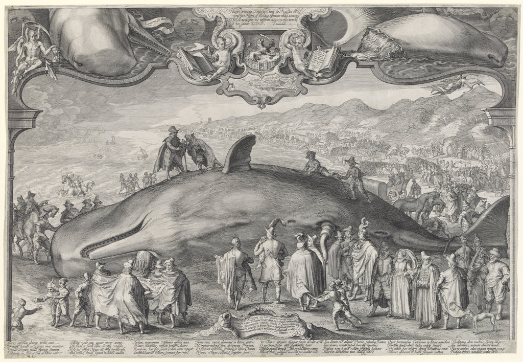 Detail of Stranded whale at Beverwijk by Jan Saenredam
