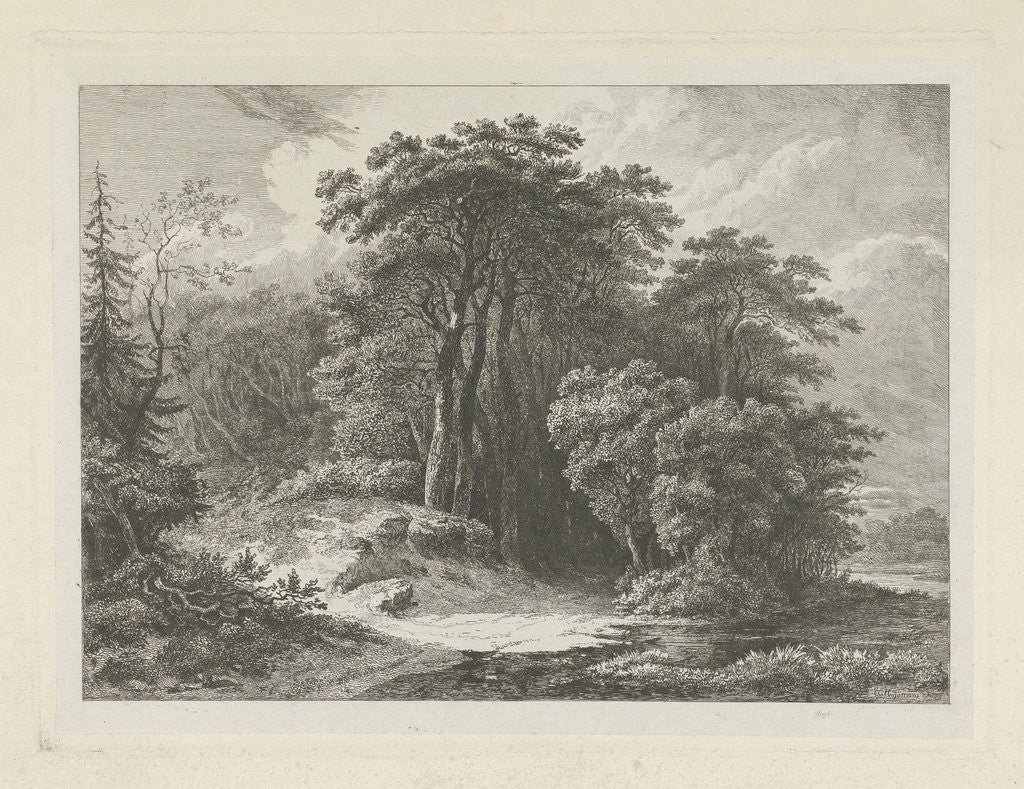Detail of Wooded Landscape with water by Constantinus Cornelis Huysmans